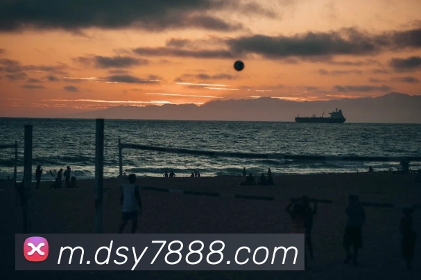 大三元官网平台登录服务体系